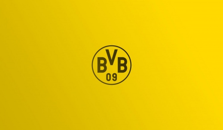 多特欧冠注册25人名单：小贝林厄姆领衔，聚勒&施洛特贝克在列