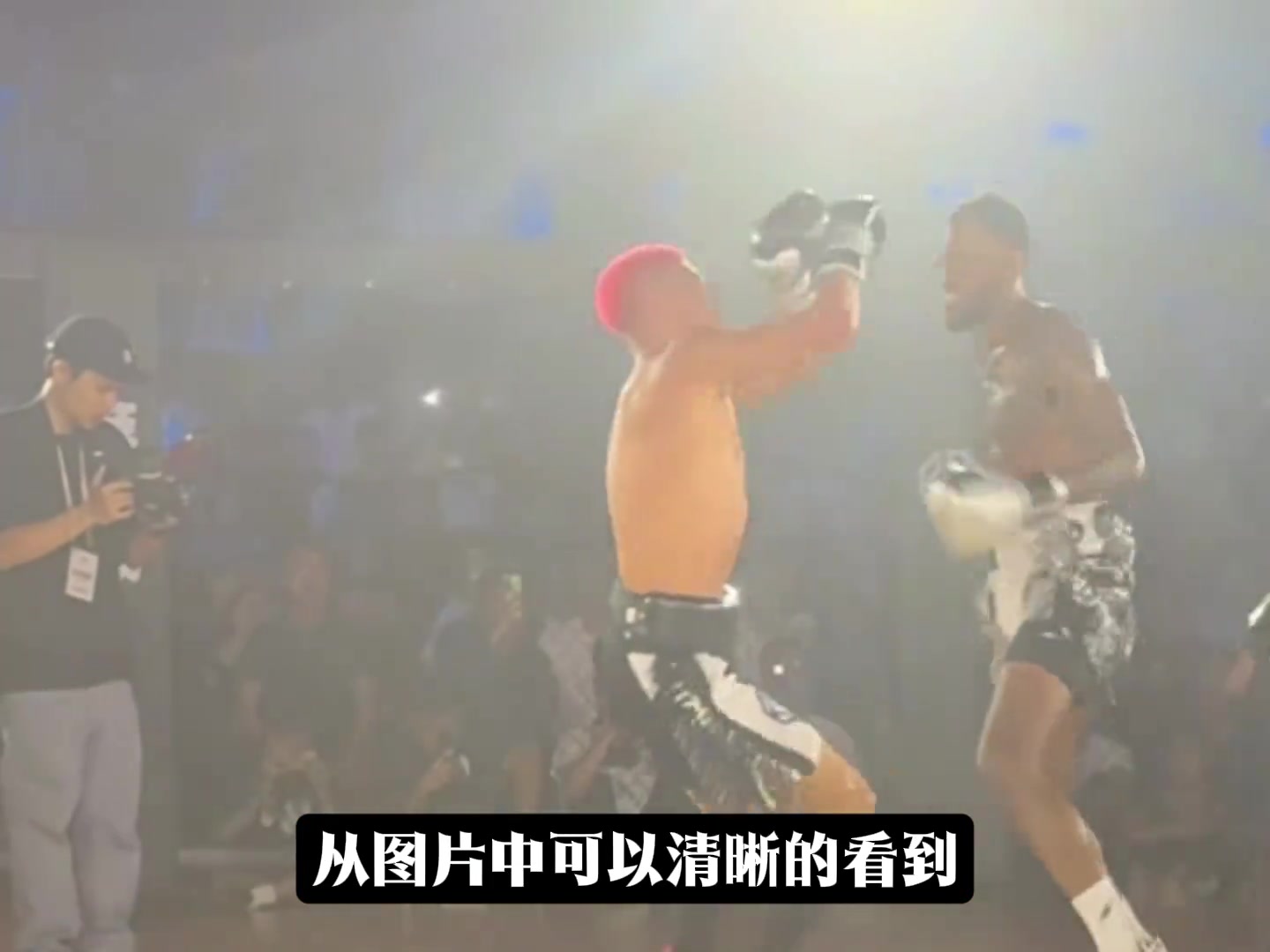 惨遭“整容”！恶鼠遭威姆斯TKO 鼻梁骨被打歪鲜血直流🤕